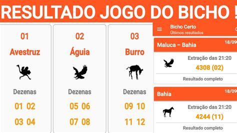 resultado do jogo online